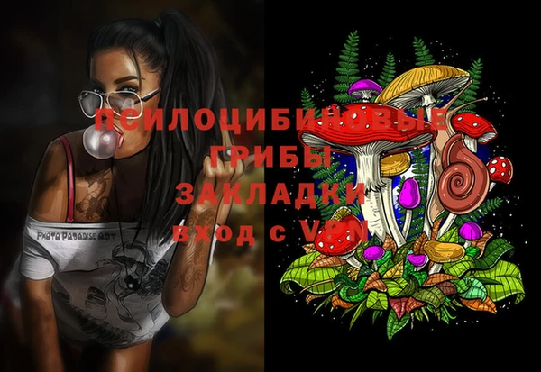 ПСИЛОЦИБИНОВЫЕ ГРИБЫ Арсеньев